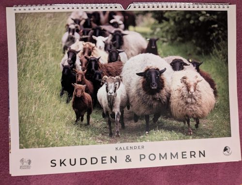 Kalender Skudden und Pommern